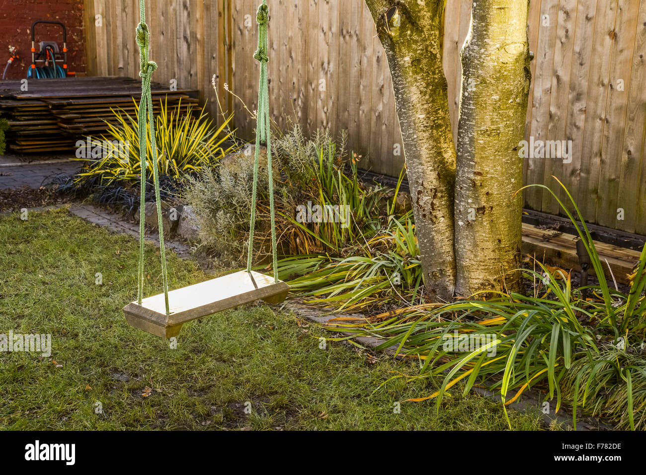 Backyard ramo di albero oscillante. Foto Stock