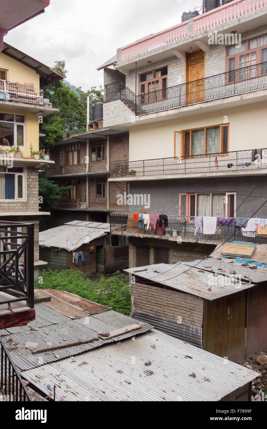 Manali, Spiti Valley, Himachal Pradesh - La Cannabis crescita selvaggia tra edifici residenziali Foto Stock