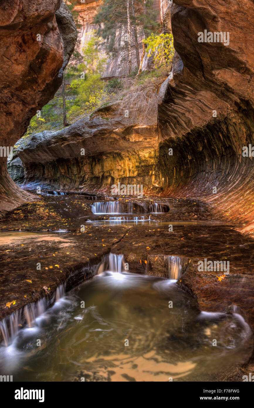 Vista a monte di piscine a cascata in esclusiva alla Metropolitana di caverna scolpita da sinistra forcella della North Creek nel Parco Nazionale di Zion, Utah. Foto Stock