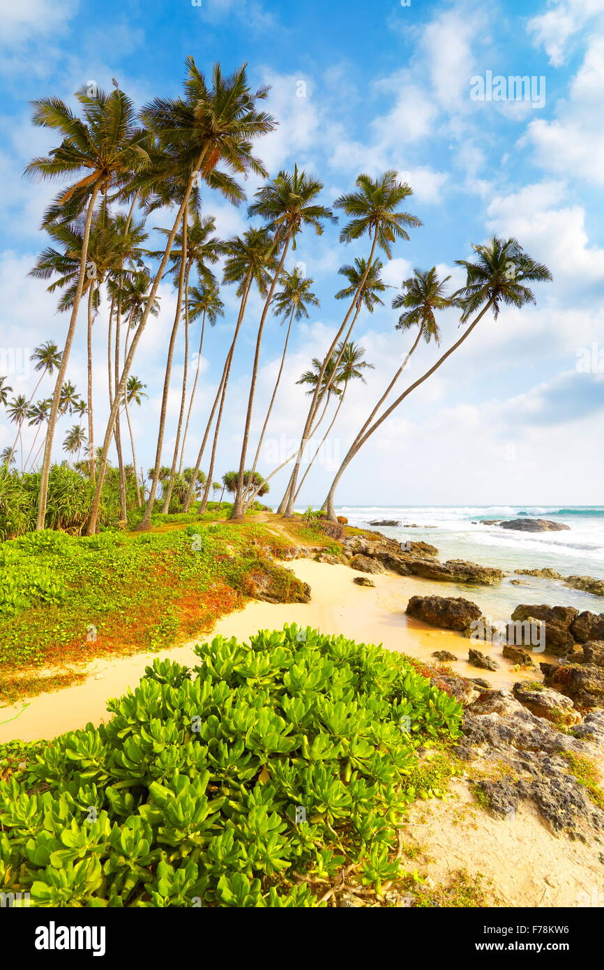 Sri Lanka costa - Koggala Palm Beach, Asia Foto Stock