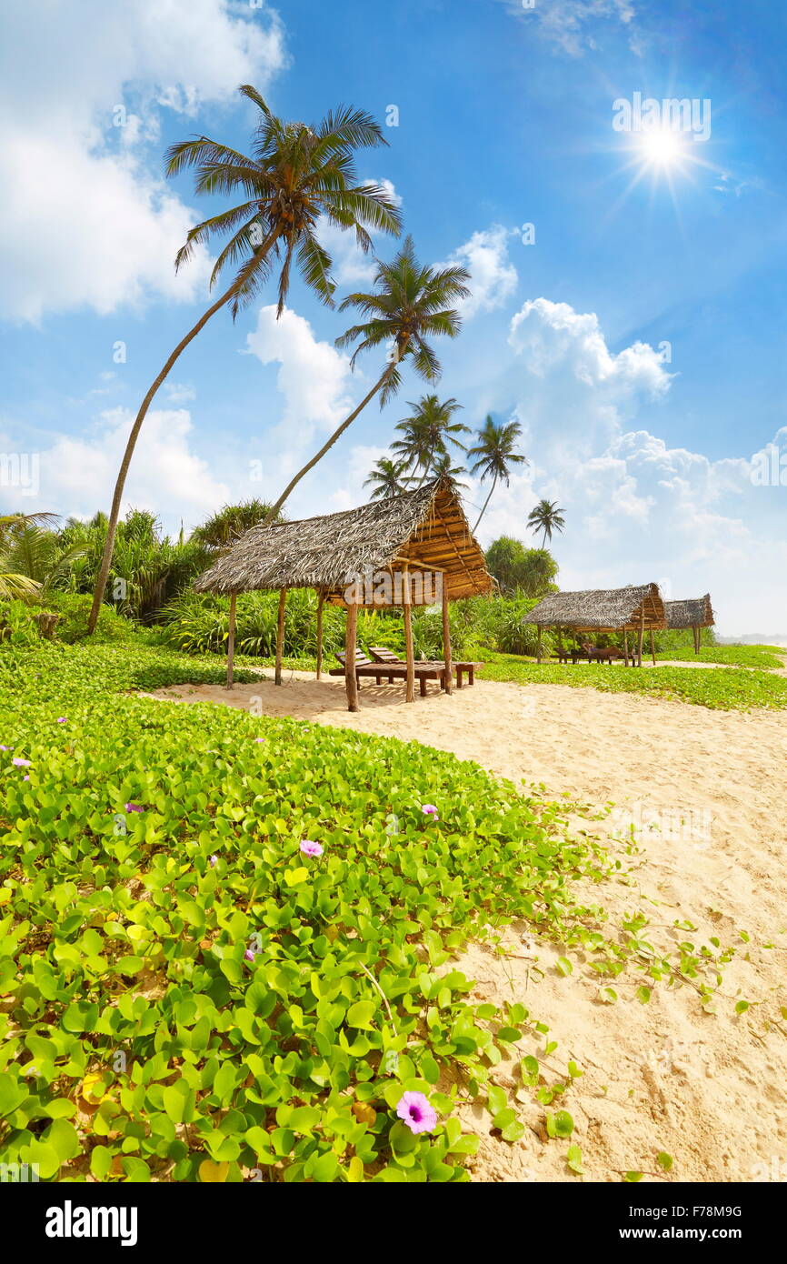 Il governo dello Sri Lanka Beach vicino a Koggala (punta sudoccidentale dello Sri Lanka), Asia Foto Stock