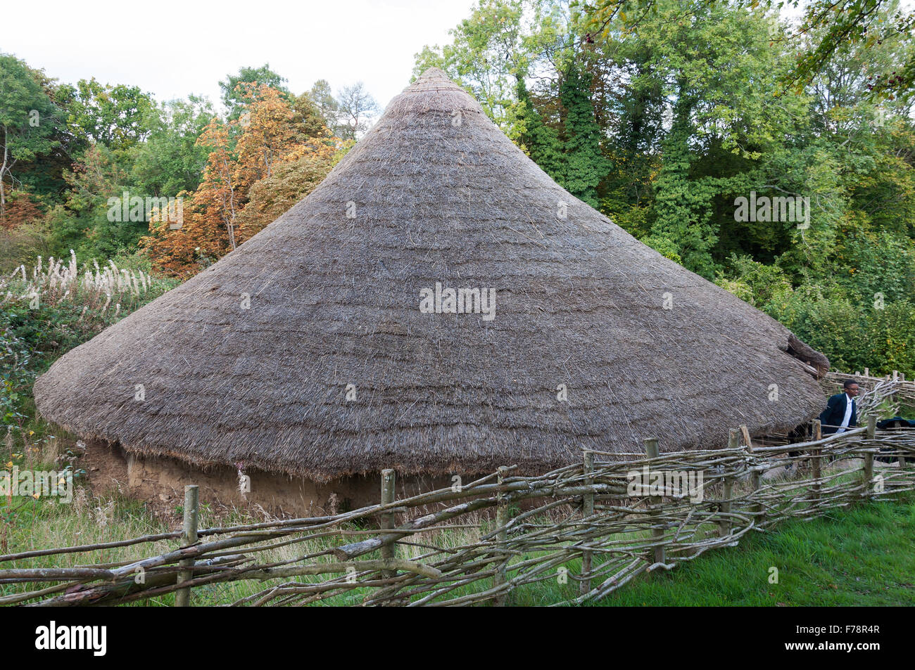 Età del ferro House, Chiltern Open Air Museum, Chalfont St Giles Buckinghamshire, Inghilterra, Regno Unito Foto Stock