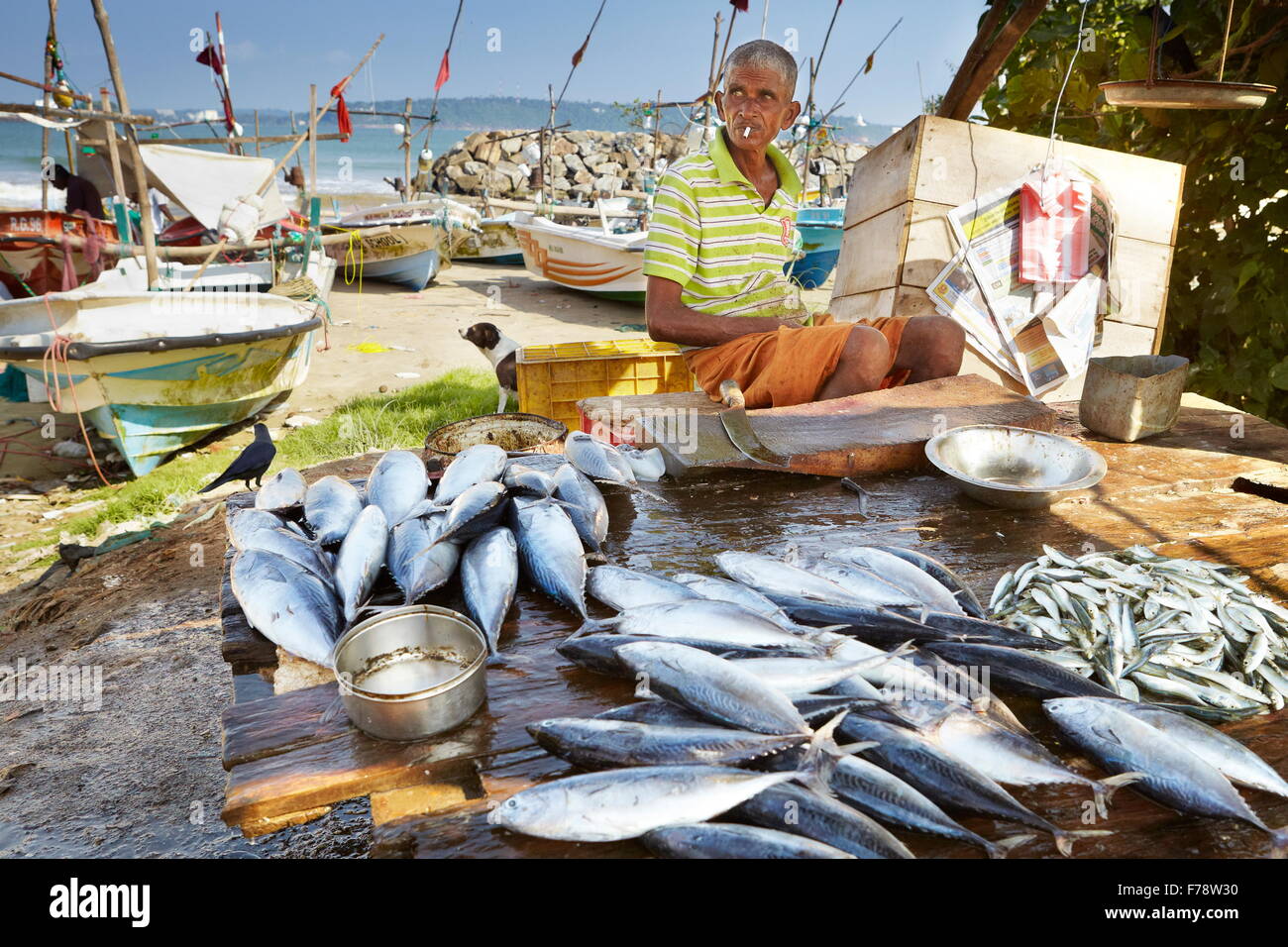 Sri Lanka - Galle, pescatori vendere pesce fresco al porto Foto Stock