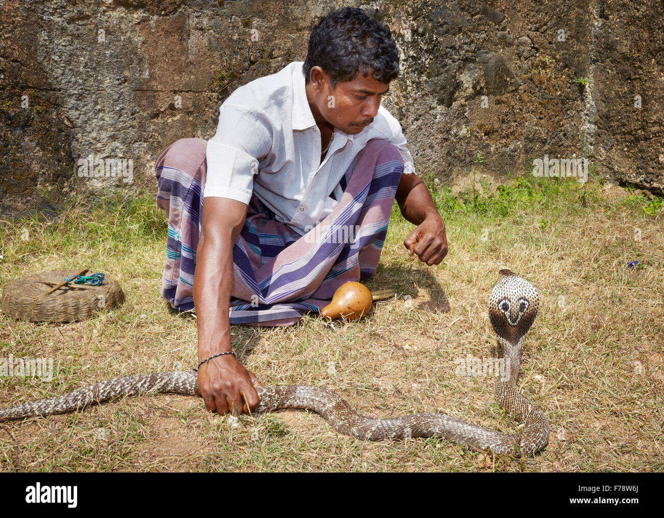 Sri Lanka - Galle, snake incantatore Foto Stock