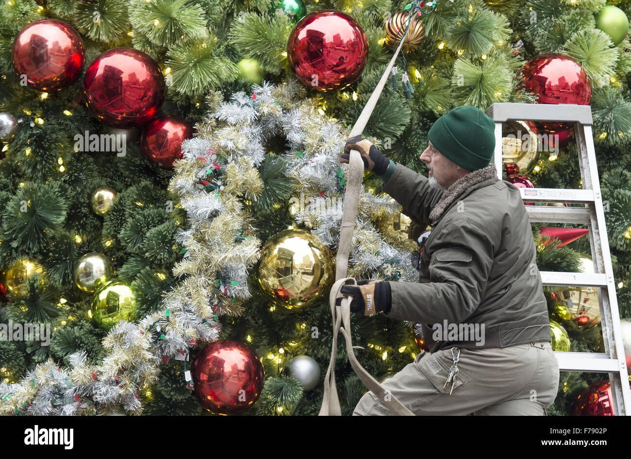 Seattle, Washingtion, STATI UNITI D'AMERICA. 23 Nov, 2015. Lavoratori assemblati Seattle albero di Natale al di fuori di Westlake Center Mall nel centro cittadino di lunedì pomeriggio in preparazione per la città albero della cerimonia di illuminazione prevista per Venerdì, Novembre 27th. Seattle albero della cerimonia di illuminazione, tenuto lungo Pine St. tra la quarta e la Quinta Avenue è il tradizionale per iniziare la stagione di vacanze a Seattle. © David Bro/ZUMA filo/Alamy Live News Foto Stock