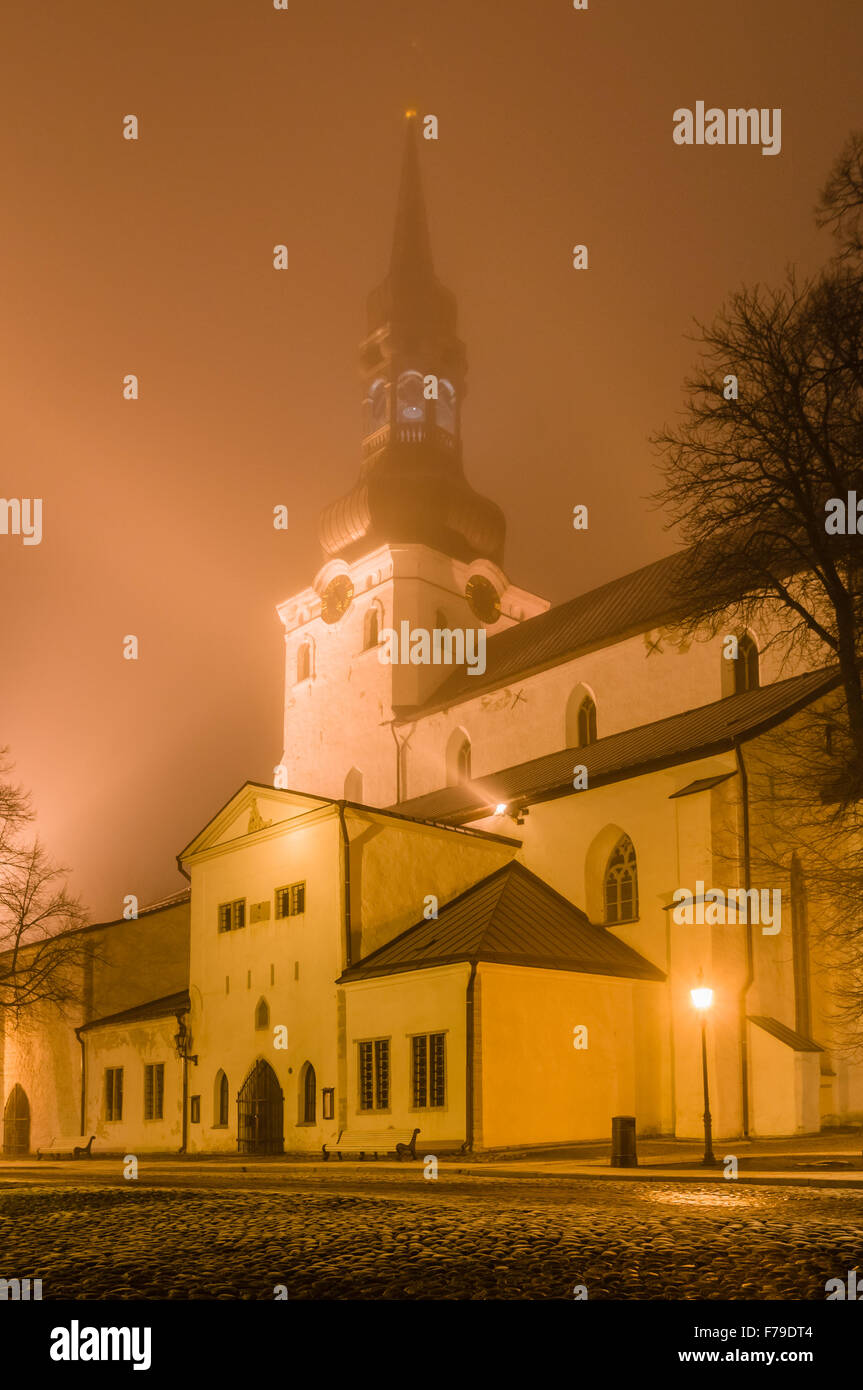 La Cattedrale di Santa Maria Vergine di Tallinn (cupola chiesa), Estonia. Notte Vista invernale nella fitta nebbia. Foto Stock