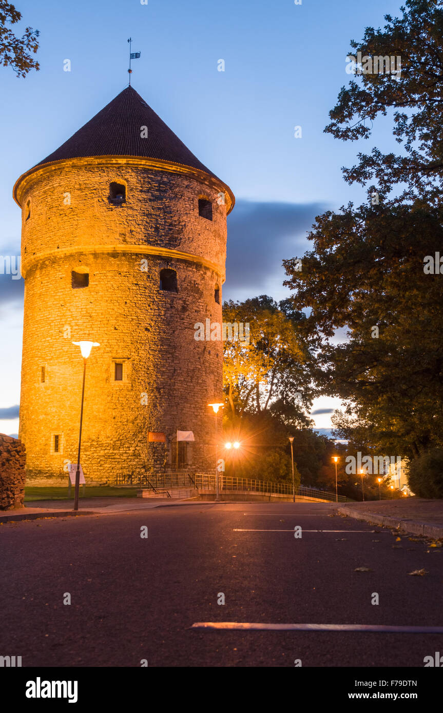 Kiek in de Kök, fortificazione medievale torre di notte, Tallinn, Estonia Foto Stock