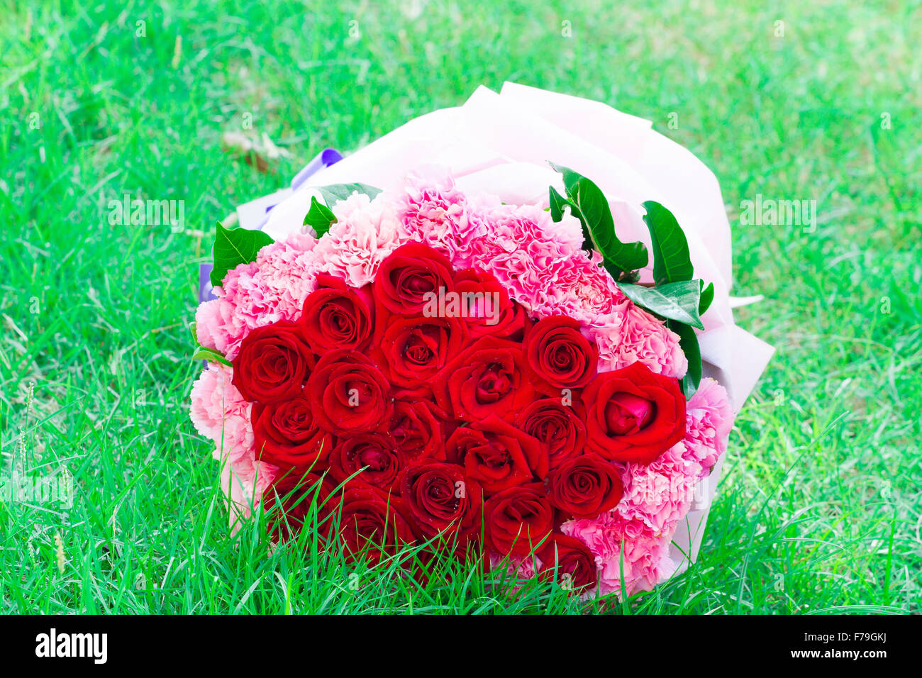 Rose rosse e garofano rosa su erba verde Foto Stock