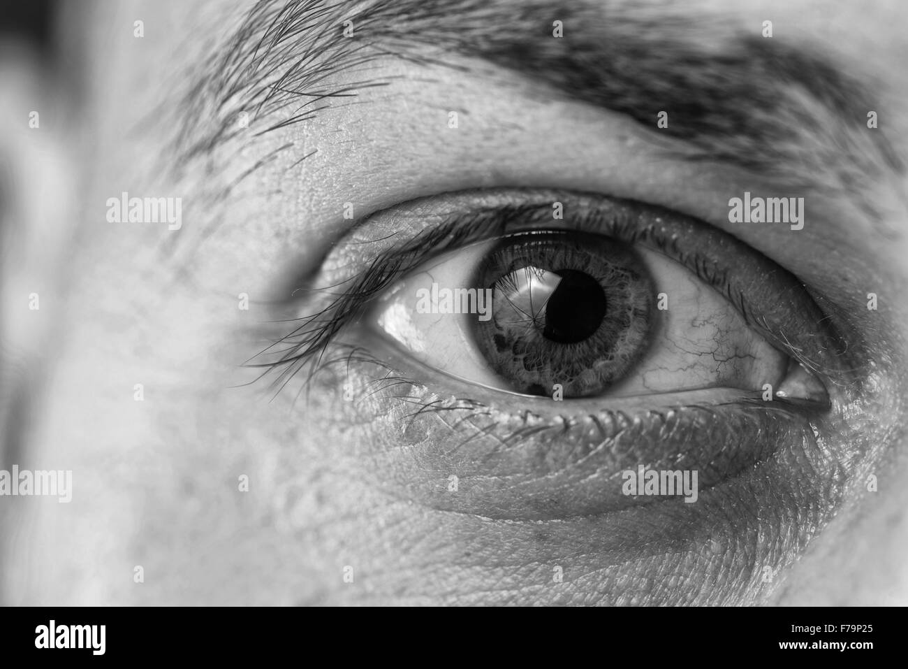 Extreme Closeup colpo di un bellissimo uomo Eye Foto Stock
