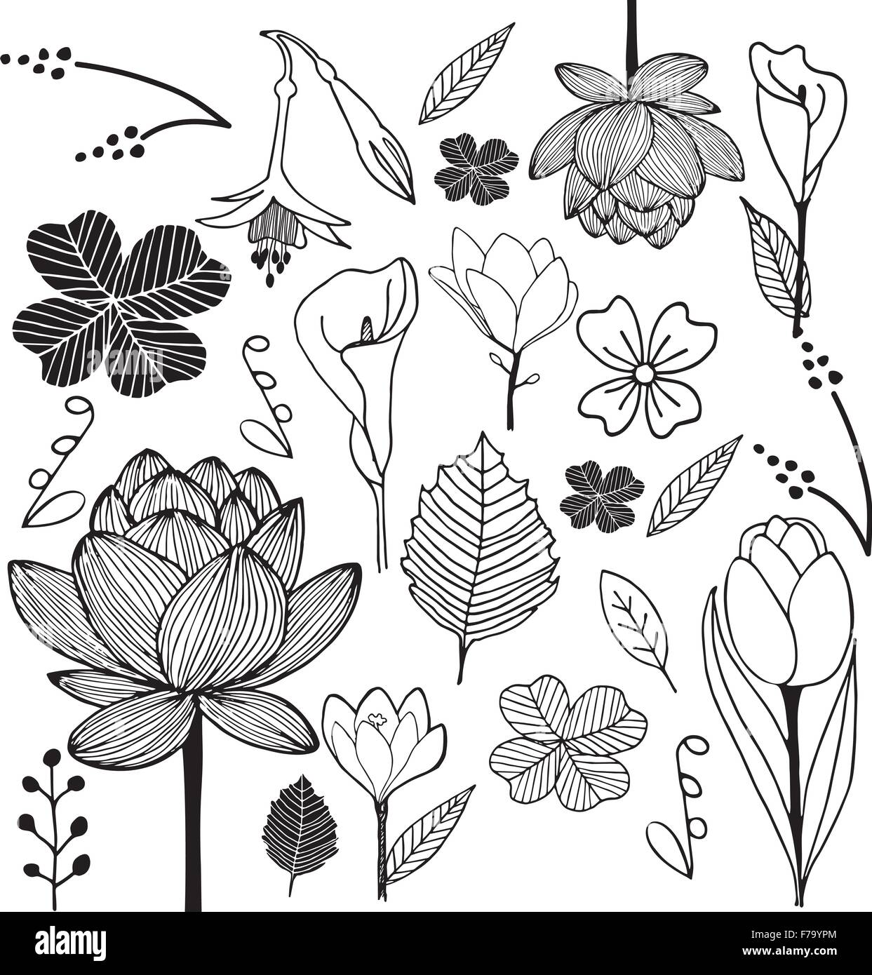 Fiori e foglie mano bozzetto doodle in bianco e nero illustrazione Illustrazione Vettoriale