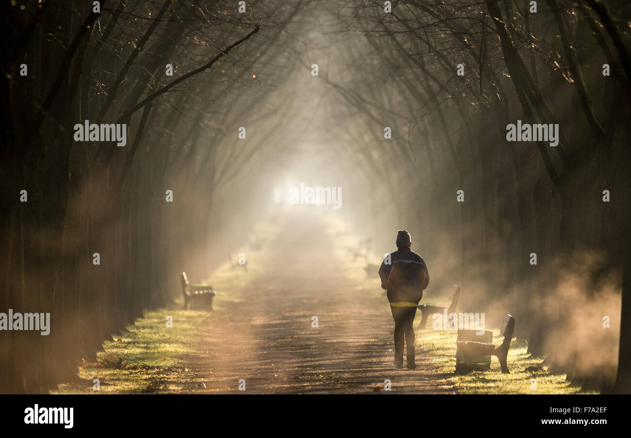 Hannover, Germania. 27 Nov, 2015. Un uomo passa per un Morning jog nella foschia dal canale di Herrenhaeuser Allee a Hannover, Germania, 27 novembre 2015. Foto: JULIAN STRATENSCHULTE/dpa/Alamy Live News Foto Stock