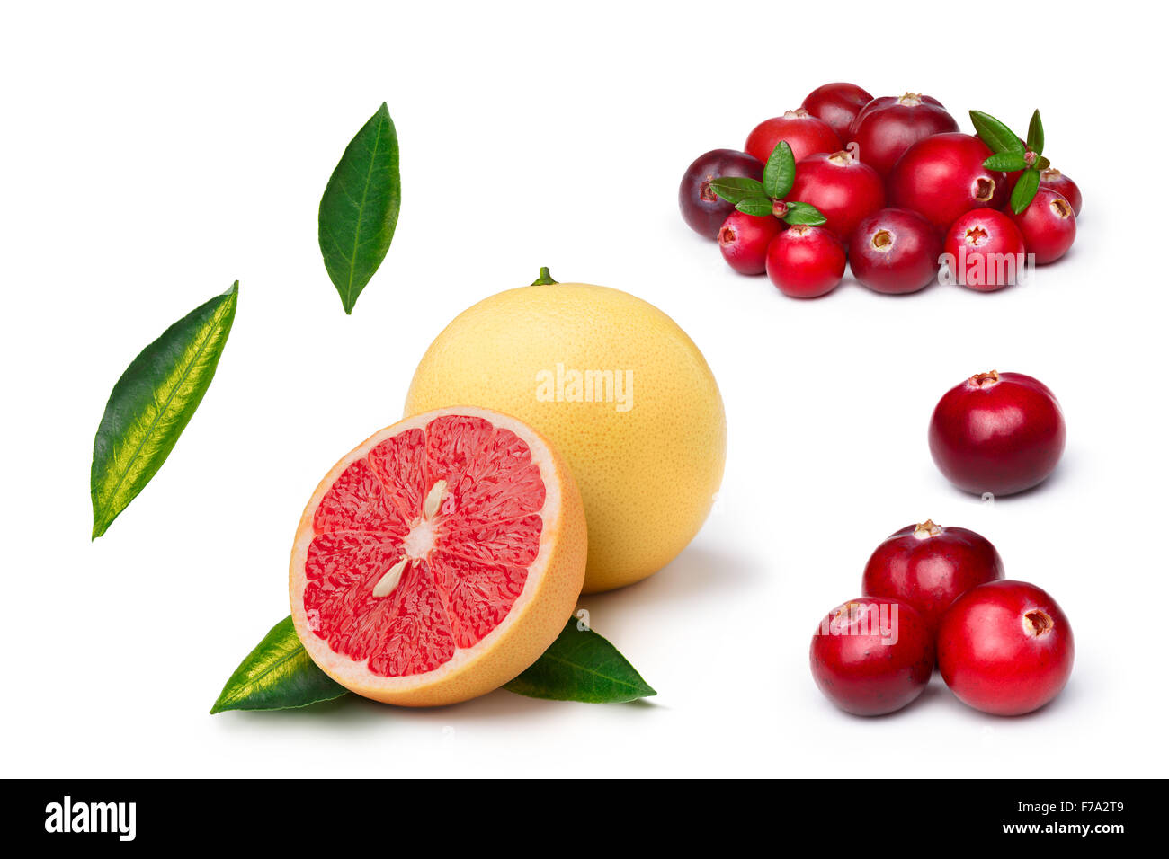 Set di mirtilli rossi interi e fette di pompelmo rosa isolato su bianco. Vista esplosa. Grande profondità di campo Foto Stock