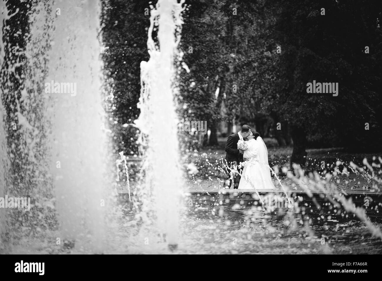 Coppie in viaggio di nozze fontana di sfondo Foto Stock