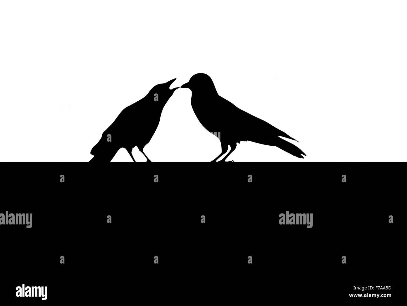 Due corvi, silhouette Foto Stock
