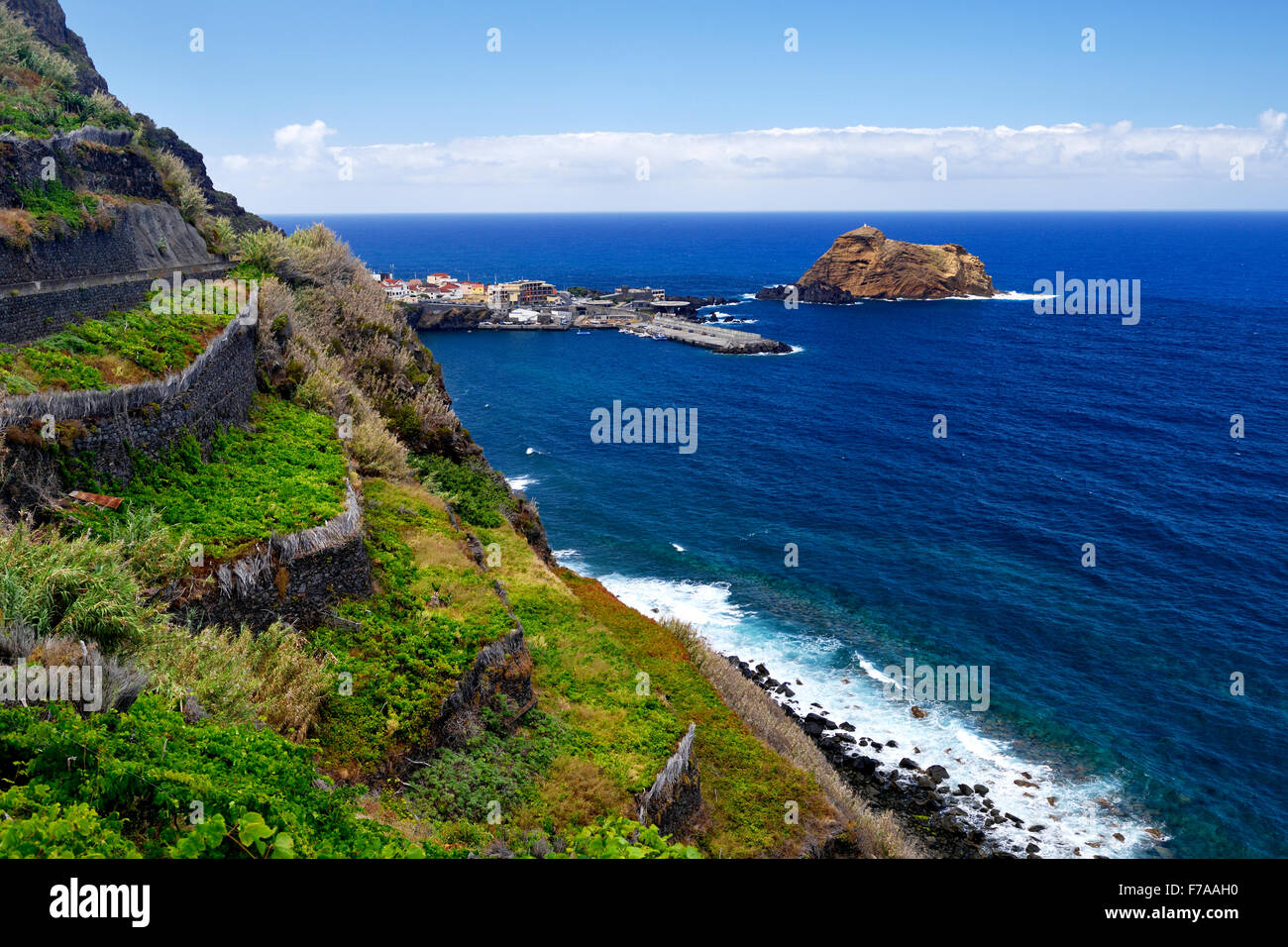 Vigneti su pendii ripidi, costa Ovest, Porto Moniz dietro, Madeira, Portogallo Foto Stock