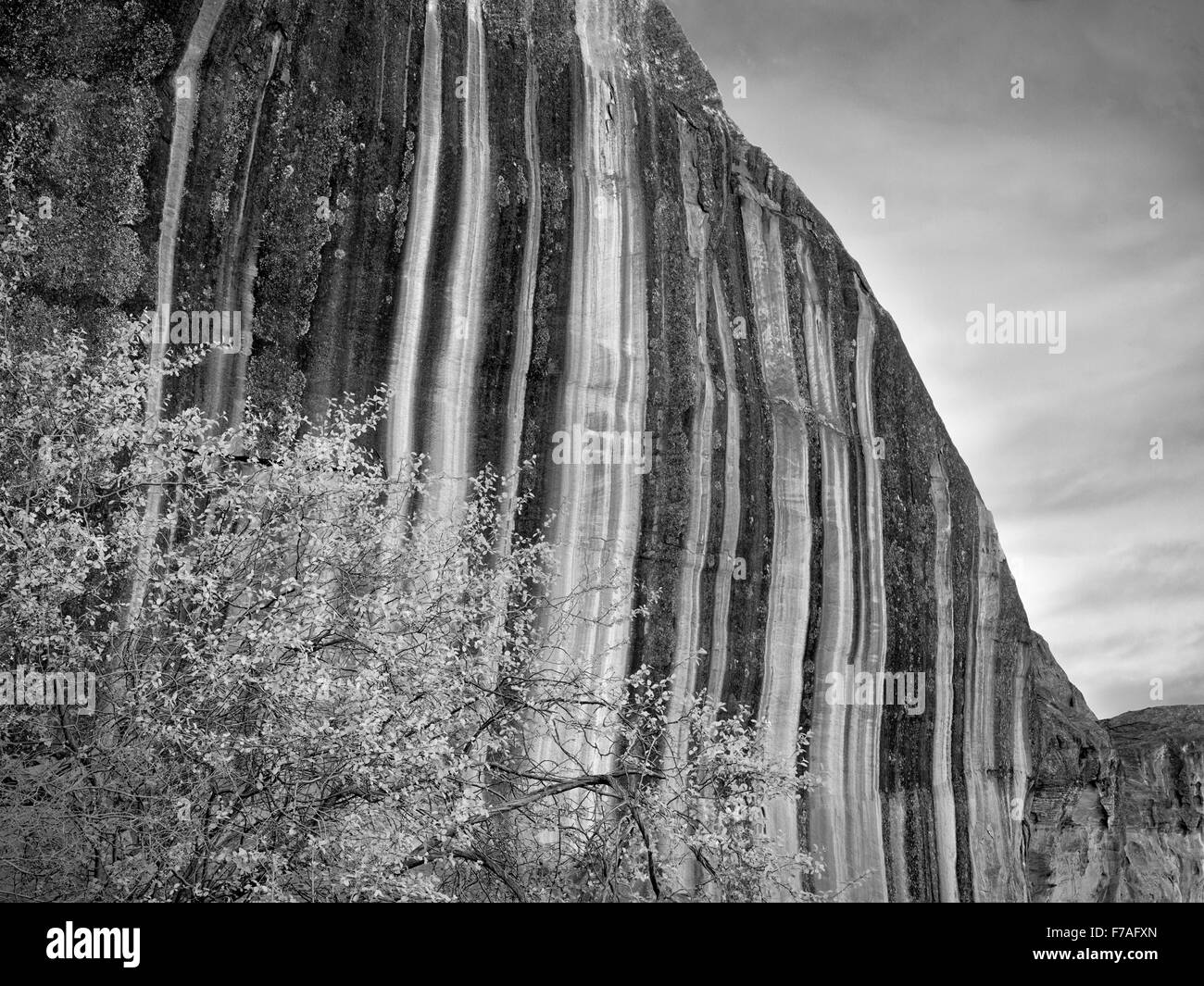 Vernice del deserto formazione rocciosa a Capitol Reef National Park nello Utah Foto Stock