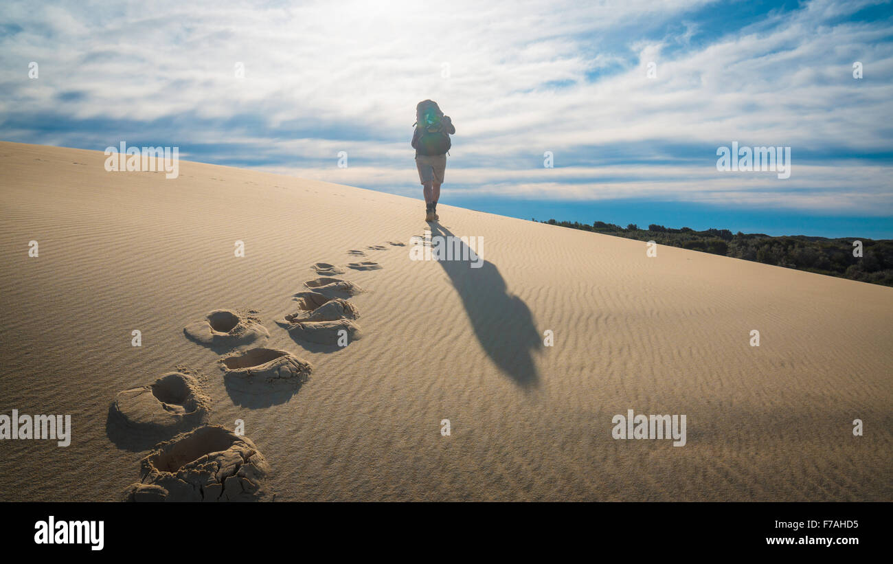Spettacolari dune di sabbia lungo il deserto Nadgee a piedi, nel Nuovo Galles del Sud, Victoria confine. Foto Stock