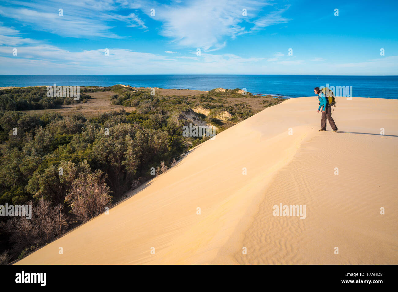 Spettacolari dune di sabbia lungo il deserto Nadgee a piedi, nel Nuovo Galles del Sud, Victoria confine. Foto Stock