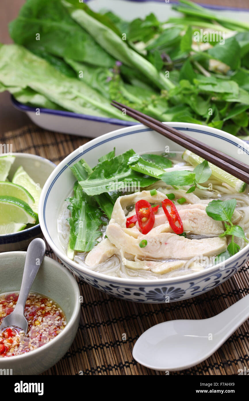 Pho ga, vietnamita riso al pollo noodle soup, cibo vietnamita Foto Stock