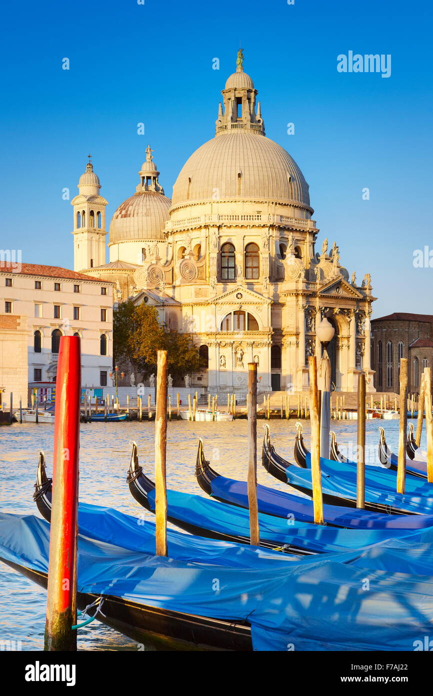 Chiesa di Santa Maria della Salute, Venezia, Italia, UNESCO Foto Stock