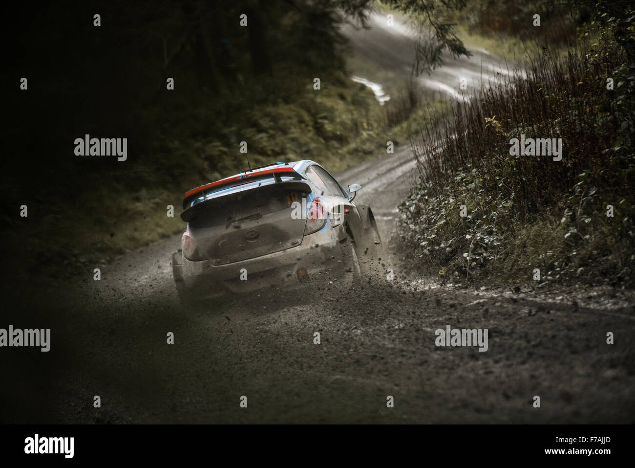 Hyundai i20 WRC al Rally del Galles GB 2015 Foto Stock