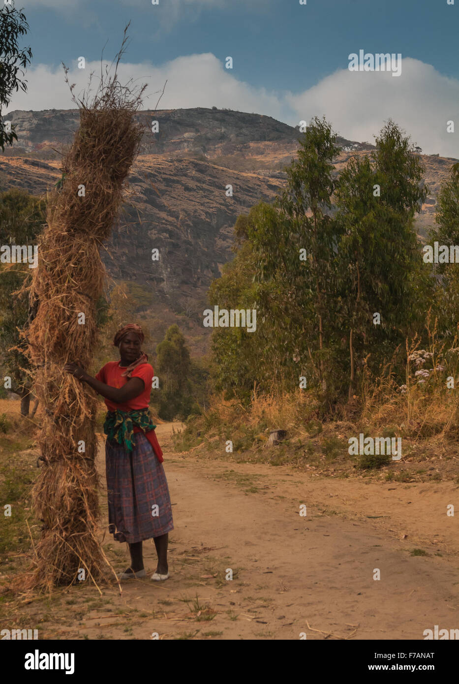 Una donna in piedi da un gran fascio di erba ha stato portante per il rivestimento di tetti capanne del villaggio nei pressi di Dedza, Malawi, Africa Foto Stock