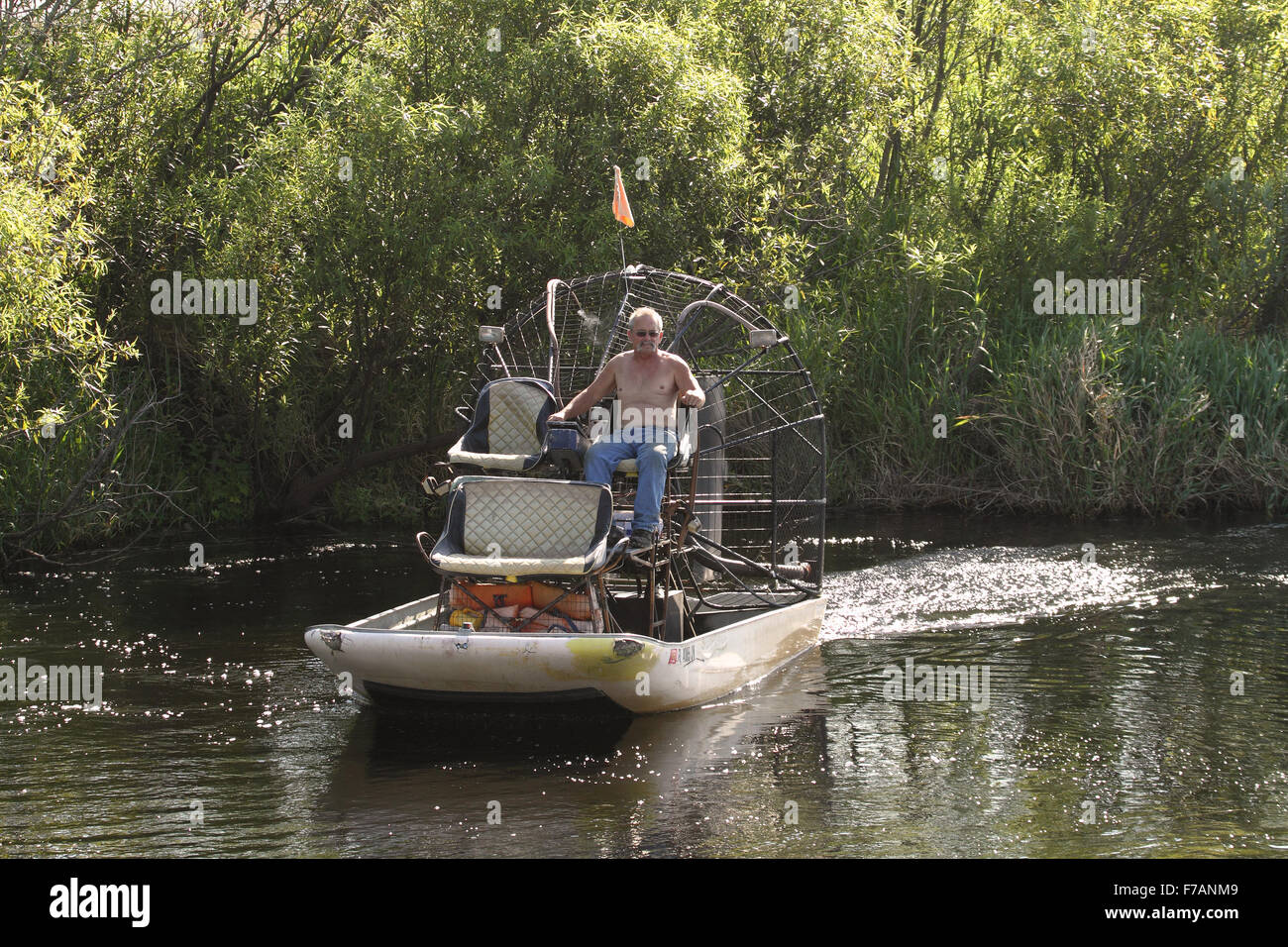 Uomo maturo su un airboat in Florida USA Foto Stock