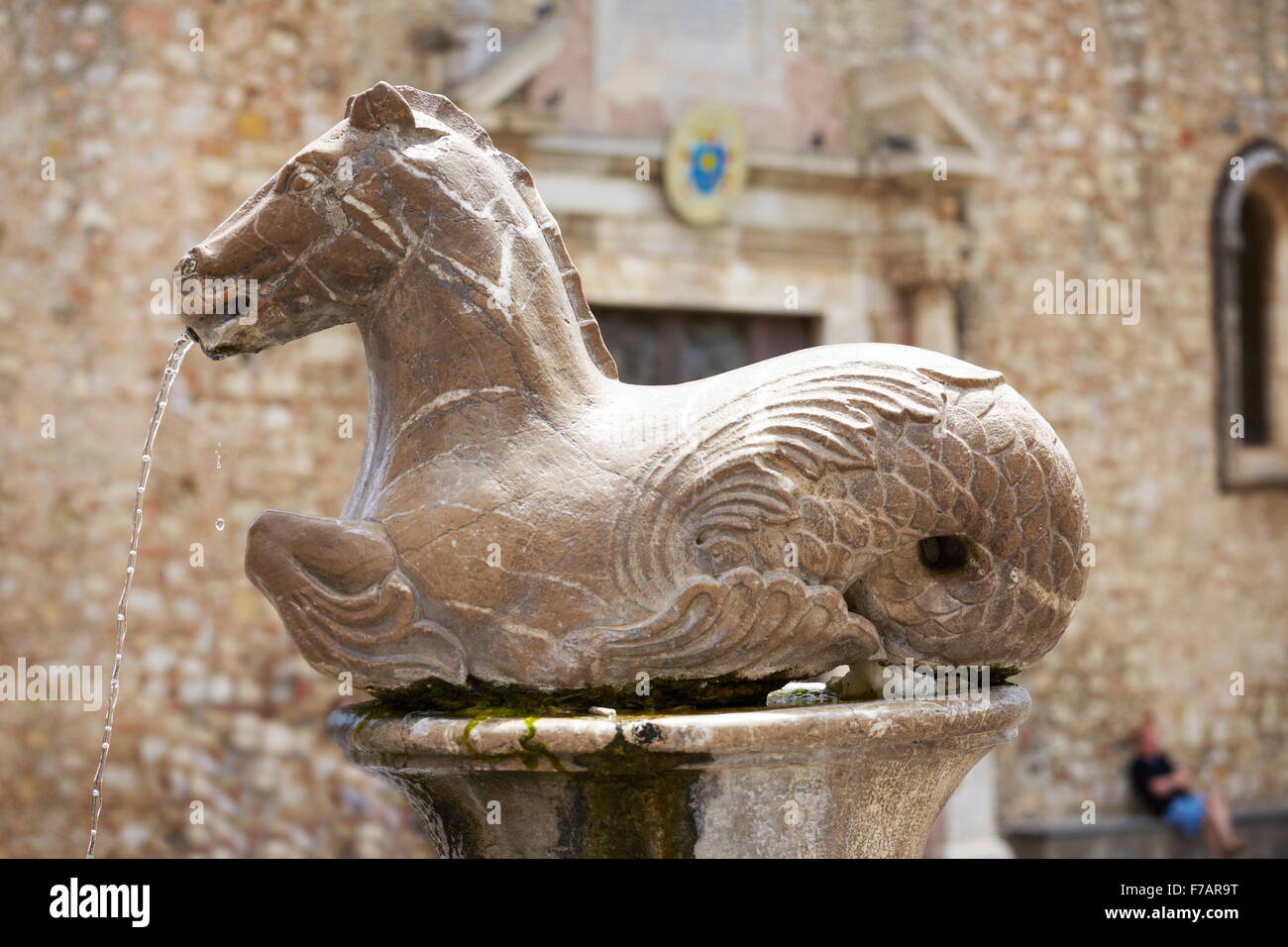 Fontana del Cavallo vicino alla Cattedrale di San Nicola, Taormina centro storico, Sicilia, Italia Foto Stock