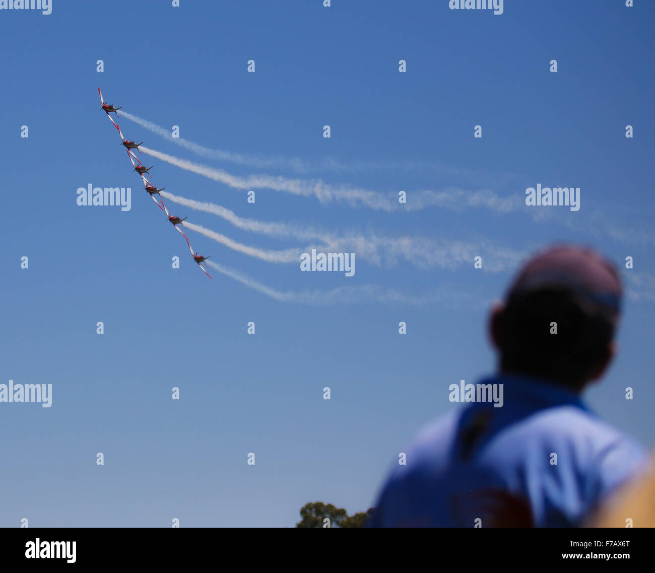 Royal Australian Air Force Roulette a Warbirds verso il basso sotto il 2015, Temora, NSW, Australia. Foto Stock