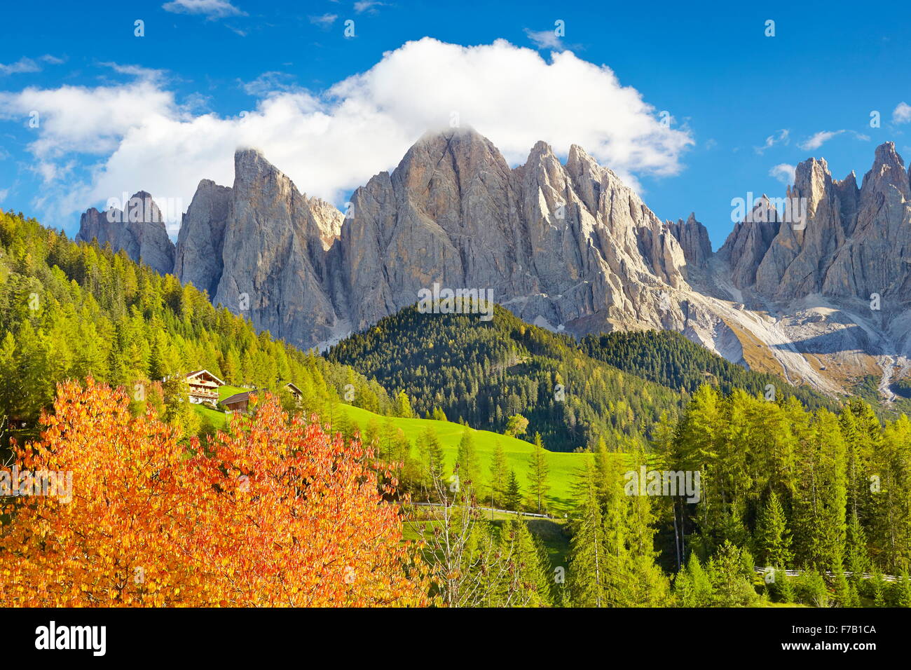 Paesaggi di montagna in autunno, provincia del Tirolo, Alpi, Italia Foto Stock
