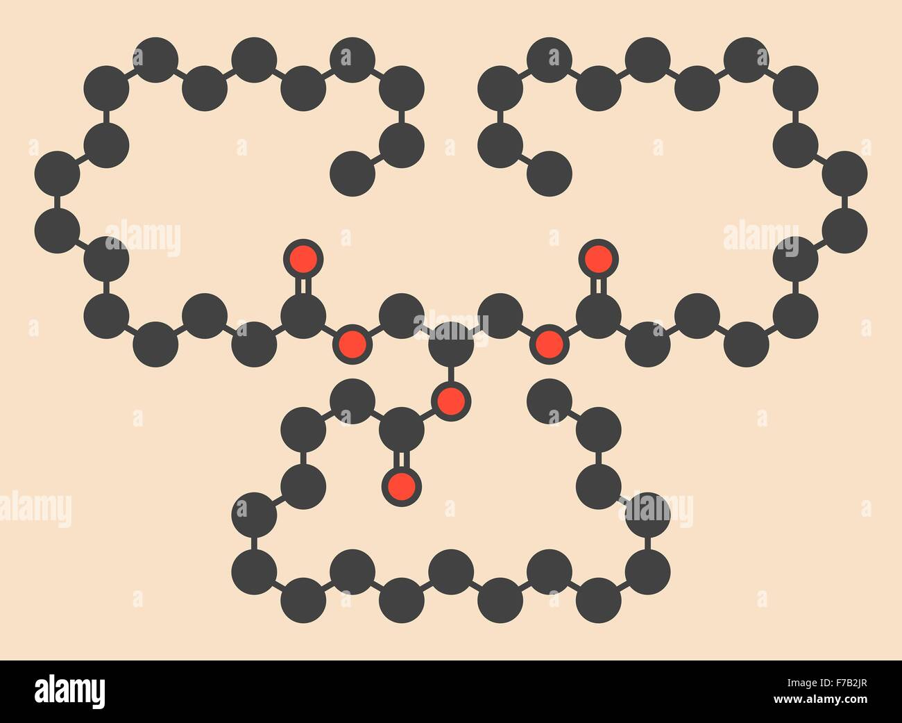 Stearina grasso saturo molecola: trigliceride composta di glicerolo e 3 acidi grassi saturi (acido stearico). Scheletro stilizzati Foto Stock