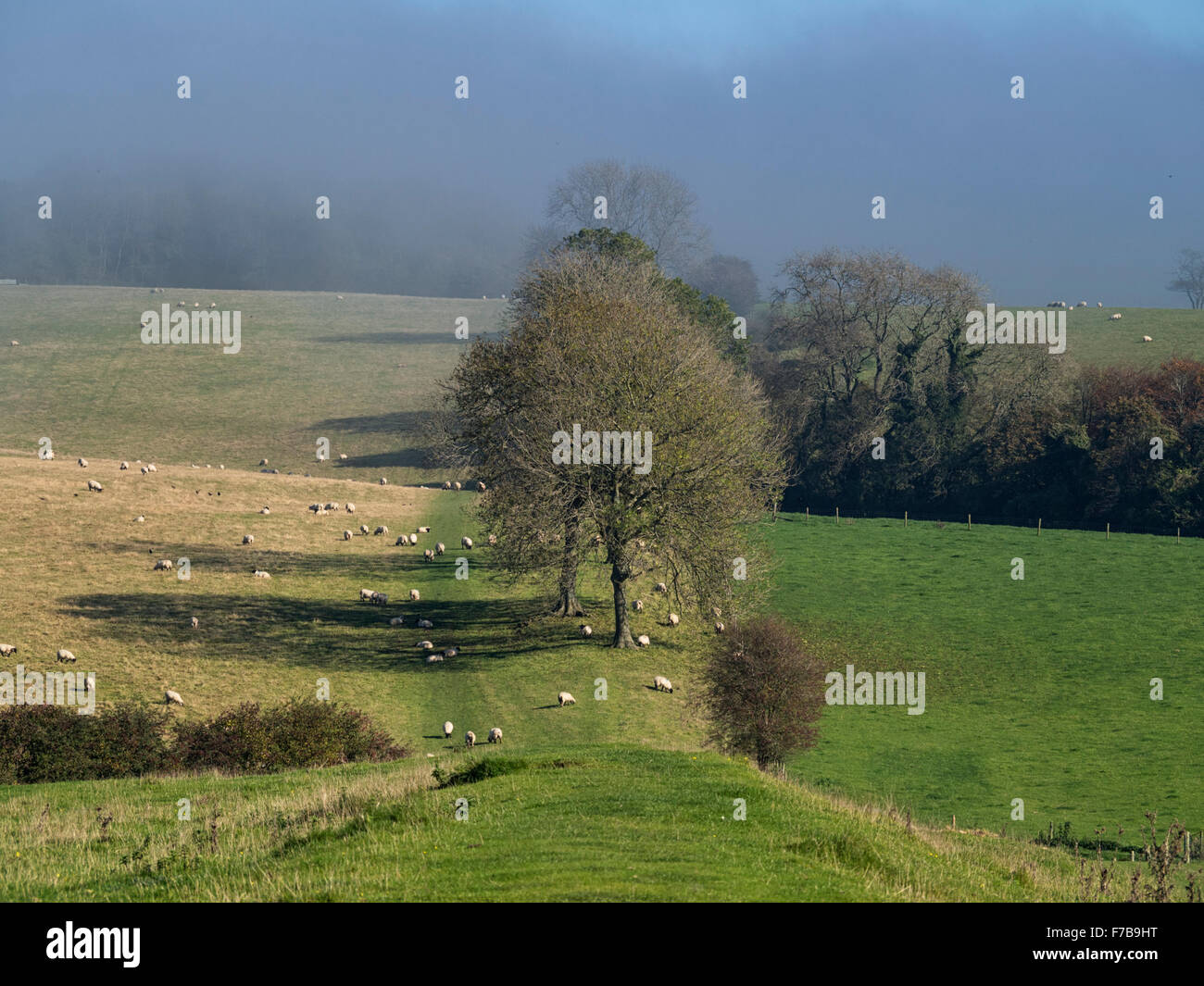 Stane Street, strada romana, vicino il Gumber e Gumber Farm appena a nord di Chichester, West Sussex Foto Stock