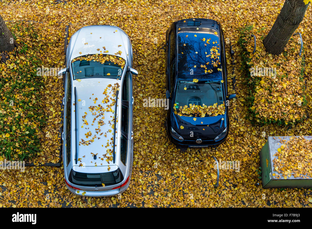 Auto nel parcheggio baie, coperto con la caduta delle foglie, Foto Stock