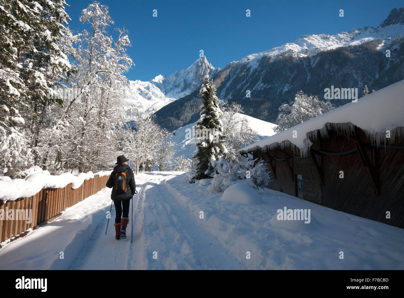 Donna passeggiate con racchette da neve lungo il percorso coperto, con ghiaccioli appesi dal tetto ,i pendii boscosi e picchi di montagna in anticipo Foto Stock