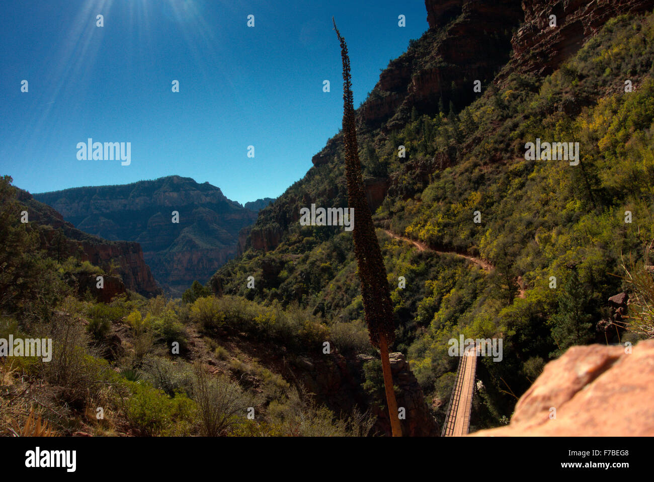 Il North Kaibab sentiero si snoda attraverso i canyon al Grand Canyon National Park. Si tratta di una lunga distanza fino a quando il fiume può essere visto. Foto Stock