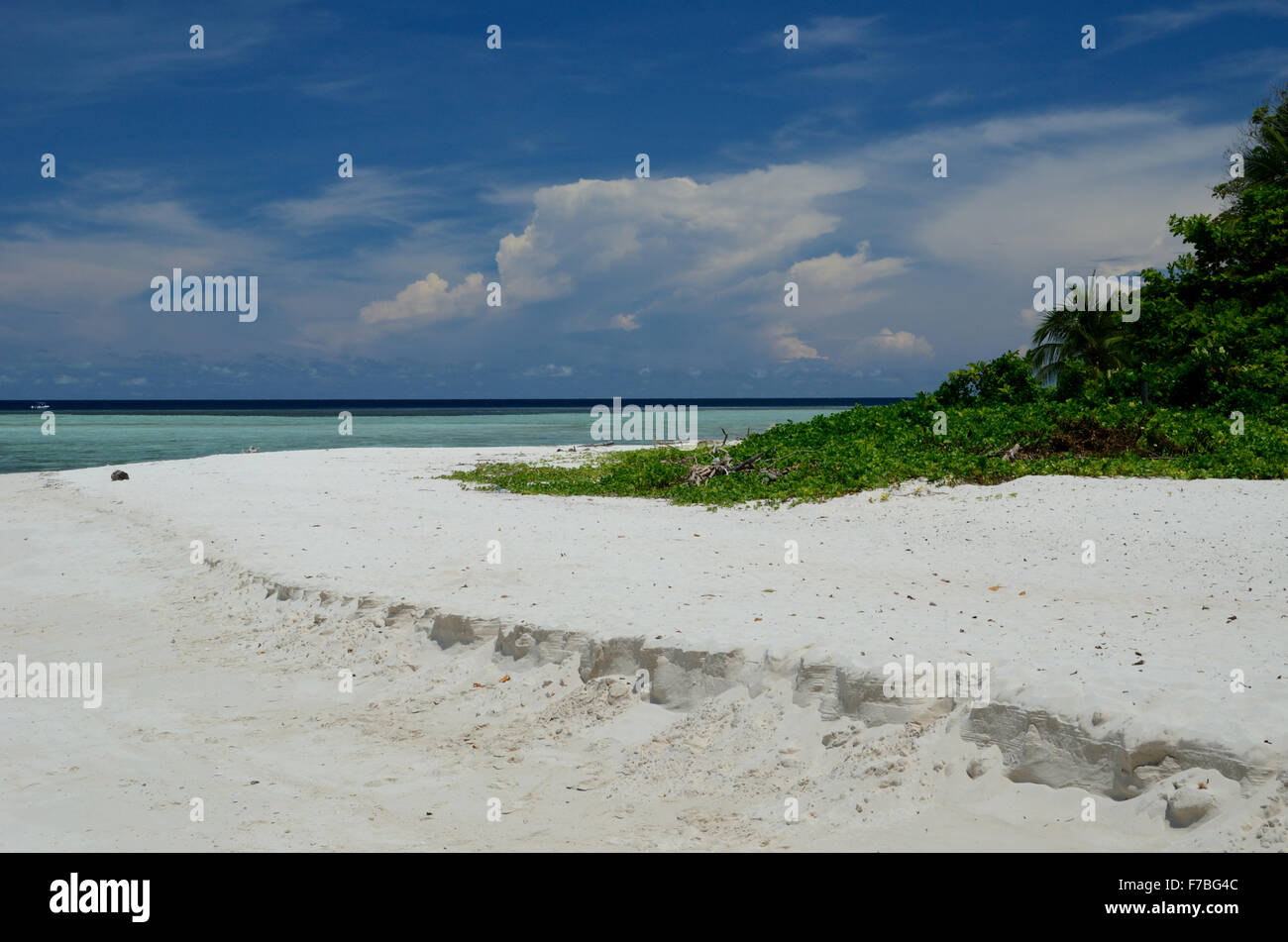 Sipadan Island nel nord-est del Borneo Malese. uno dei miglior sito di immersioni nel mondo Foto Stock