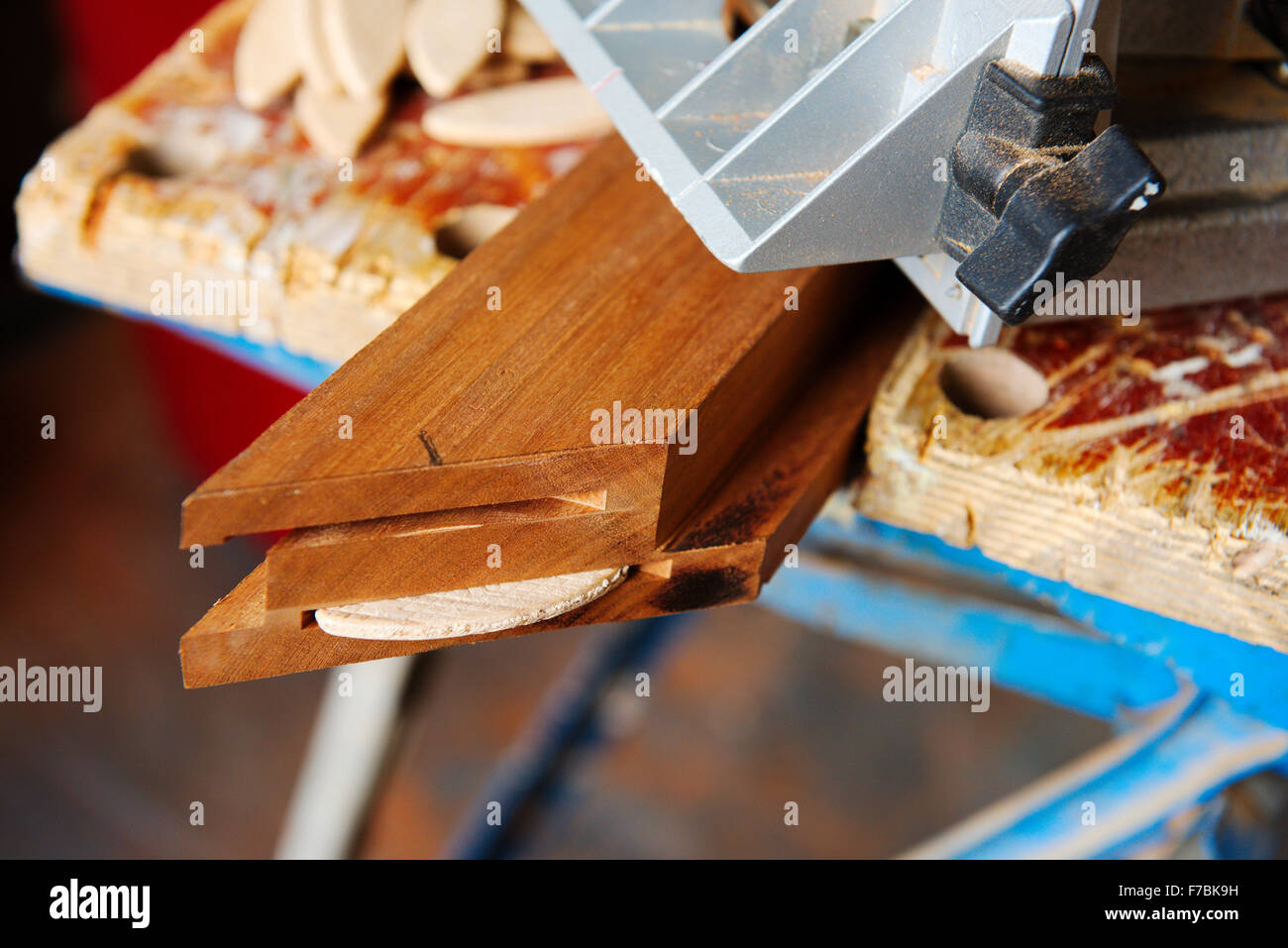 Telaio in legno tagliato per fare un angolo quadrato e il doppio slot per biscotti di giunzione, uno inserito Foto Stock