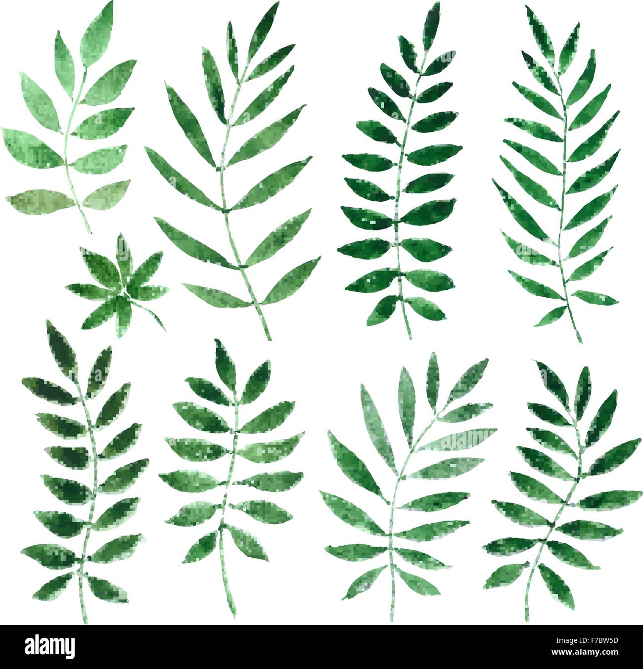 Collezione dipinti acquerelli di piante e foglie. illustrazione vettoriale Illustrazione Vettoriale
