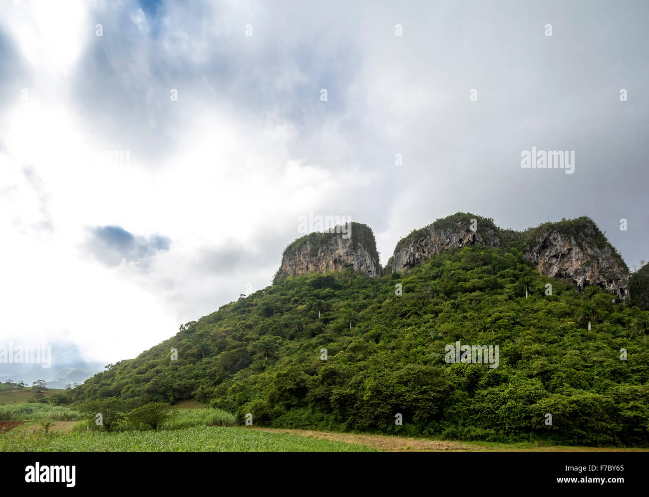 Montagna carsica in Vinales Valley, Vinales, Cuba, Pinar del Rio, Cuba, America del Nord Foto Stock