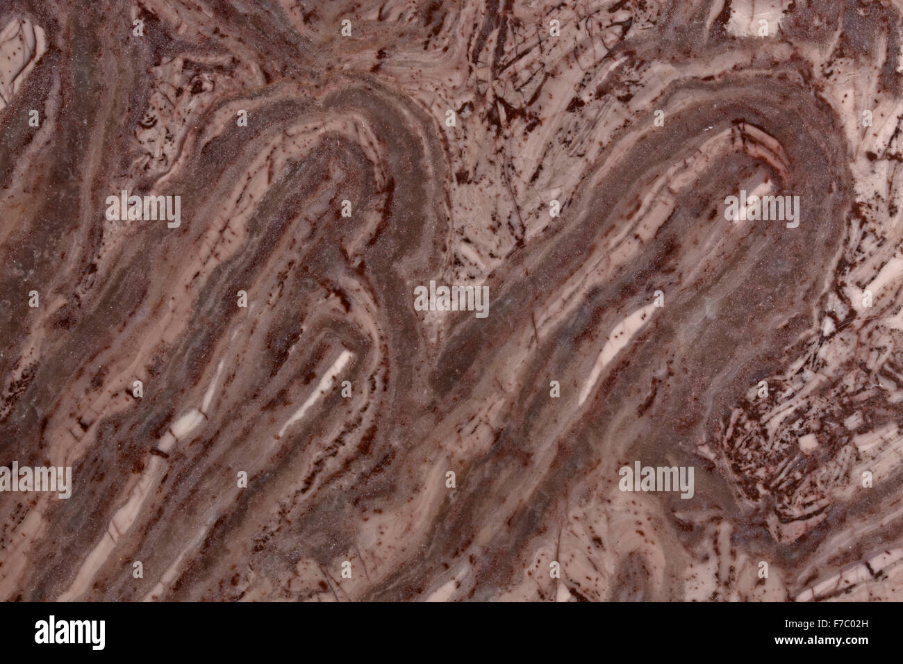 Stromatolite, inizio proterozoic, 2.2 a 2.4 miliardi di anni, Kona dolomite-gruppo Chacolay, Chacolay hills , Michigan settentrionale, Foto Stock