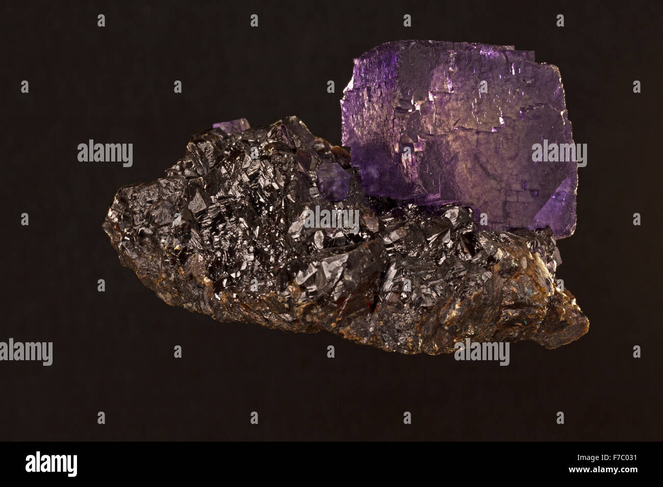 Fluorite su sfalerite, Elmwood miniera, Eennessee Foto Stock