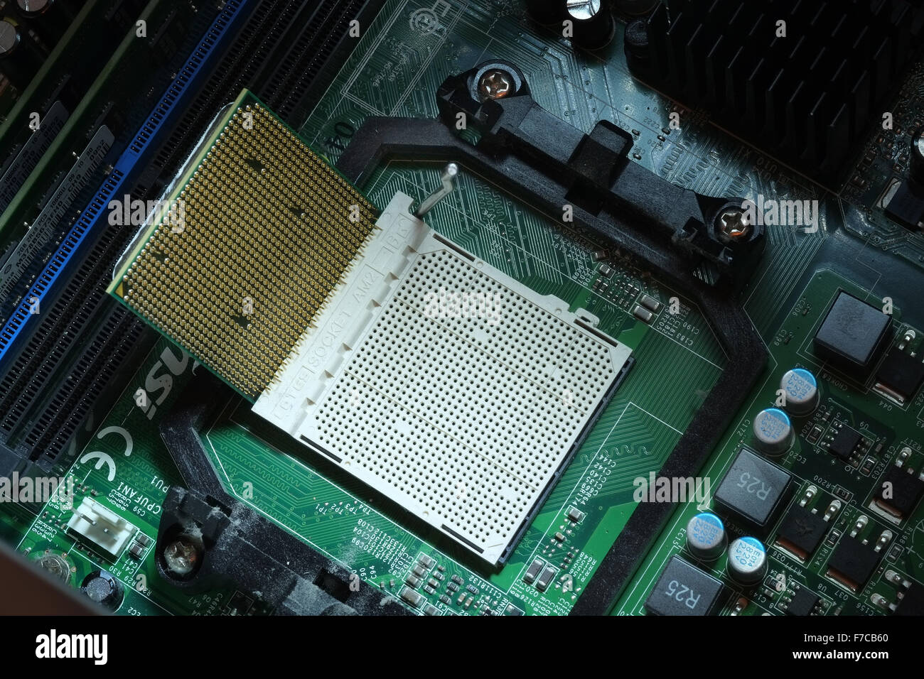 Close up dei perni sul moderno computer CPU. Foto Stock