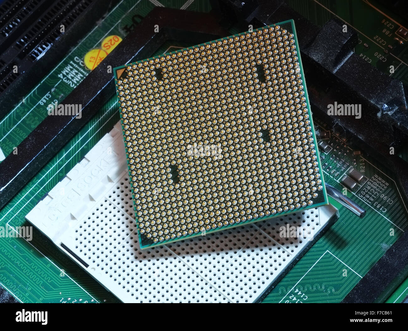 Close up dei perni sul moderno computer CPU. Foto Stock