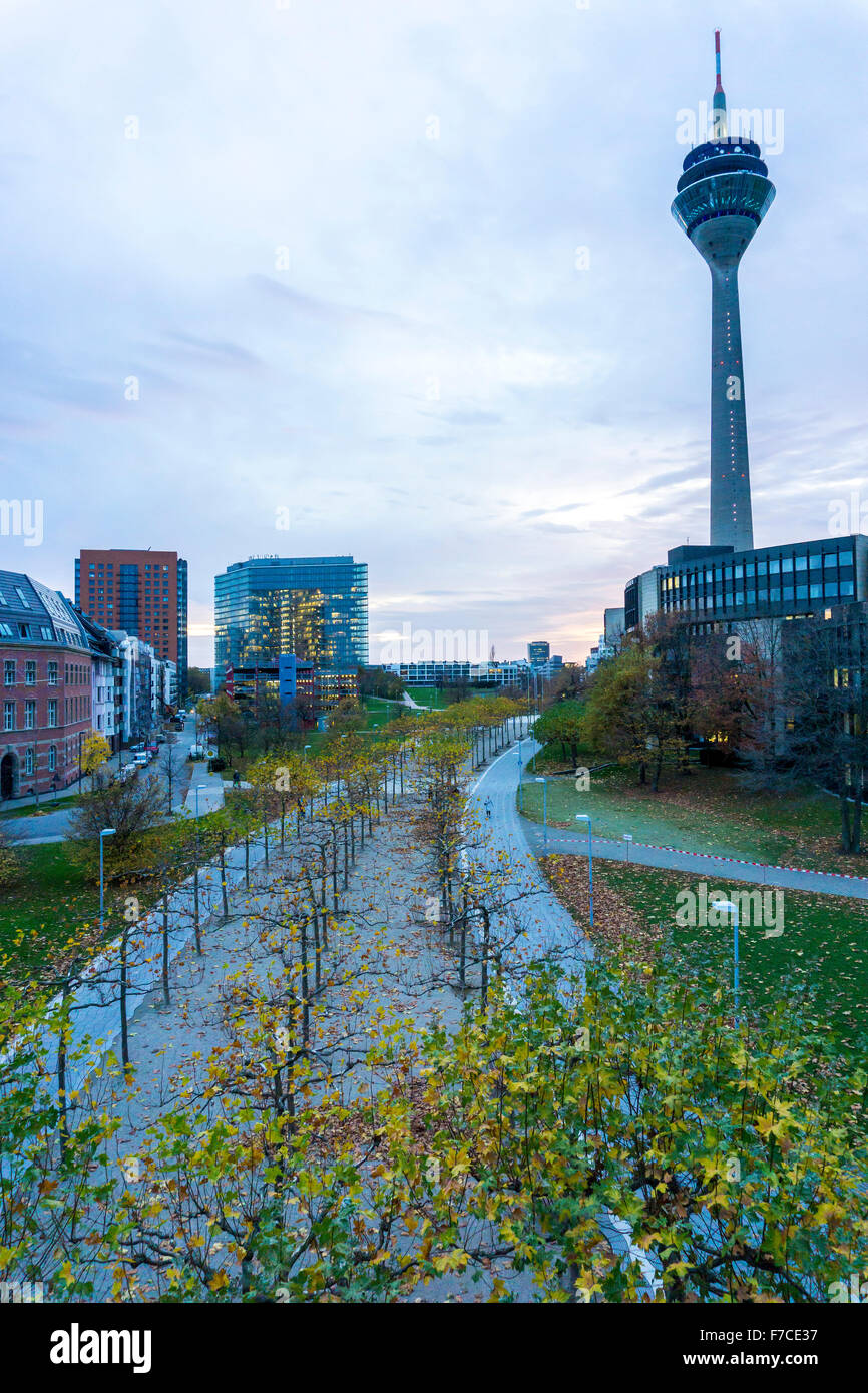 Stadttor, city gate Building, edificio del parlamento, destra, Torre sul Reno, Düsseldorf, Germania Foto Stock