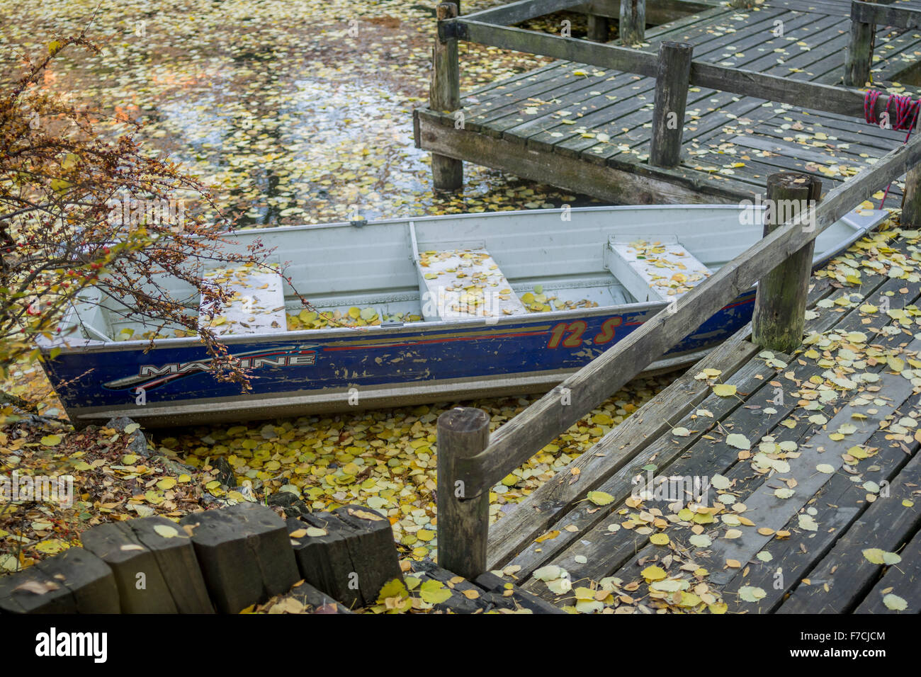 Barca in acqua coperta con caduta foglie di autunno Ormeggiata al pontile Foto Stock