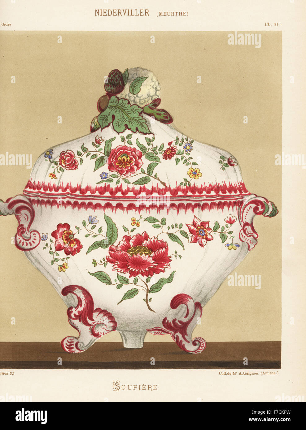 Piatto di minestra o soupiere con decorazione botanico da Niderviller, Lorena, Francia. A mano chromolithograph finito da Ris Paquot generale dell'antica storia di francesi e stranieri in ceramica smaltata, Chez l'auteur, Parigi, 1874. Foto Stock