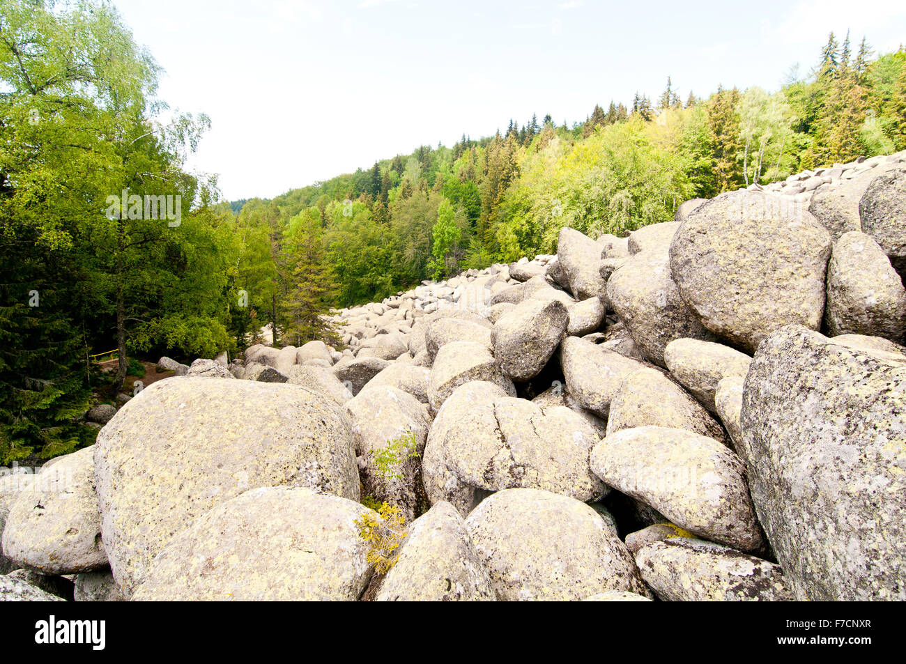 Ampio campo di Boulder del fiume Stone - Vitosha Mountain Wilderness Foto Stock
