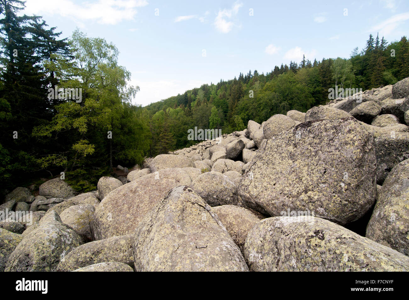 La pietra di fiume di grandi massi di granito su Rocky River Vitosha Parco Nazionale ,Bulgaria Foto Stock