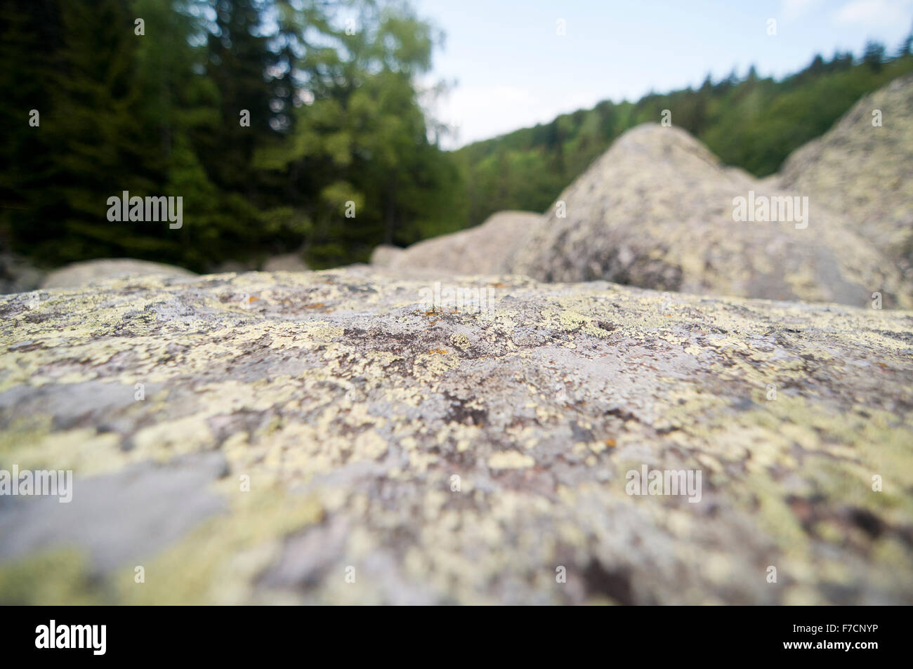 La pietra di fiume di grandi massi di granito su Rocky River Vitosha Parco Nazionale ,Bulgaria Foto Stock