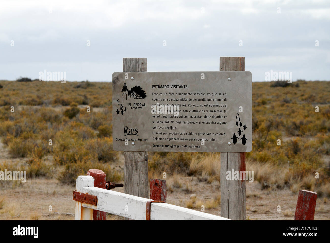 El Pedral riserva naturale segno, parte del pinguino globale della società, Chubut Provincia, Argentina. Foto Stock